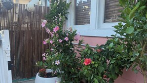 Un quartier résidentiel agrémenté de plantes en pot et doté d’une clôture en bois.