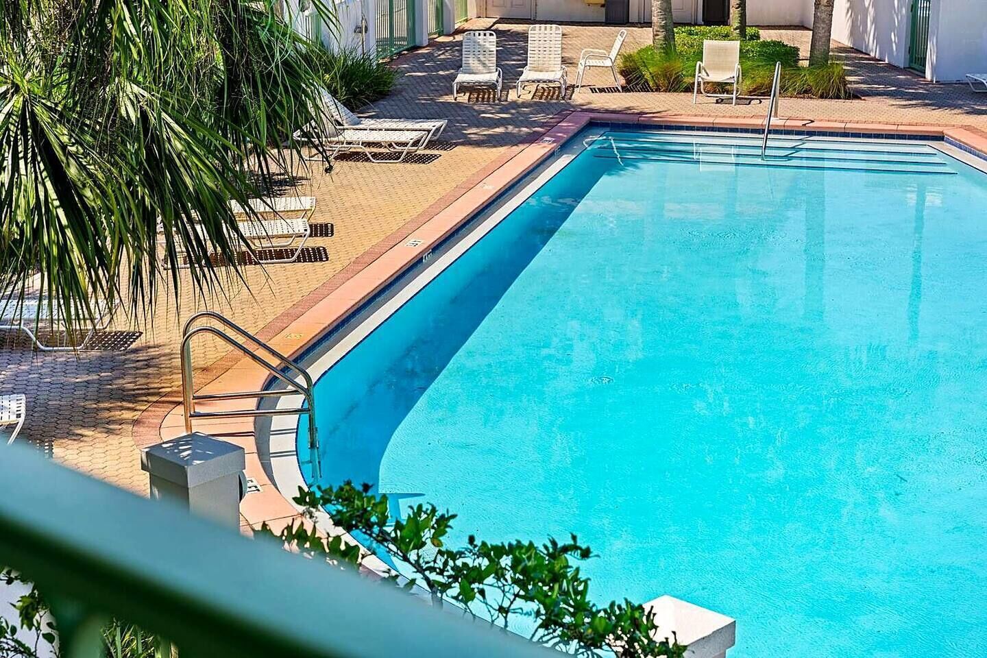 Une piscine avec des chaises longues et un palmier.