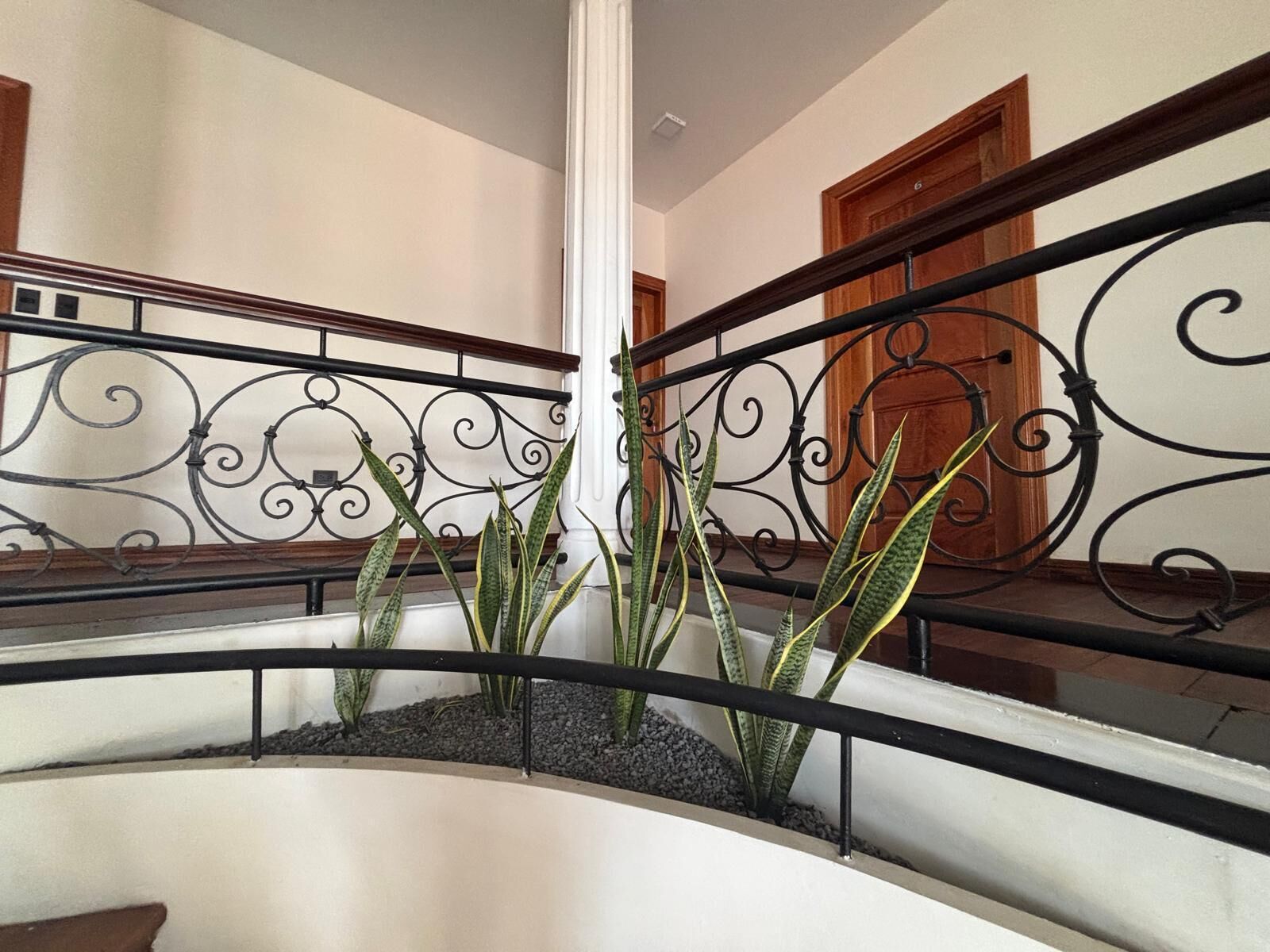 Una escalera curva con barandilla de metal y una jardinera con plantas verdes.