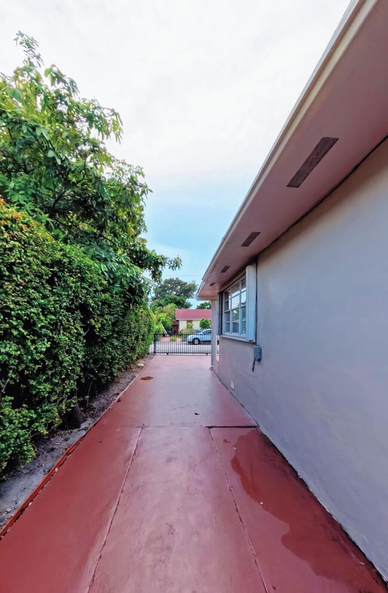 A pathway leading to a building with a red roof, surrounded by dense greenery.