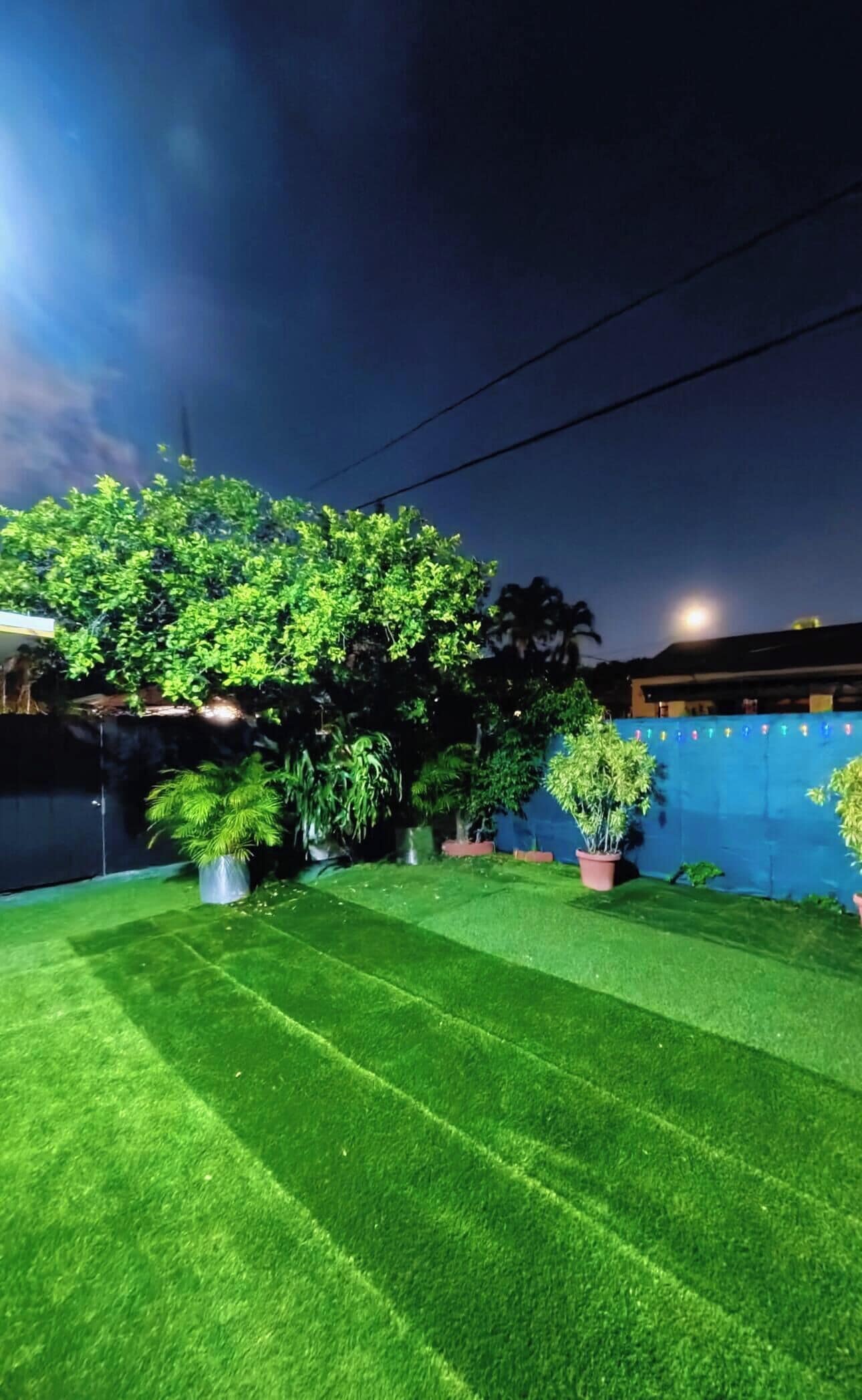 A well-lit artificial lawn with potted plants and a blue wall in the background.