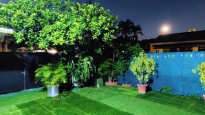 A well-lit artificial lawn with potted plants and a blue wall in the background. - Miami Oasis (Miami)