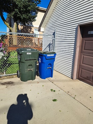 Two trash bins, one green and one blue, placed on a sidewalk next to a building with a brown door.