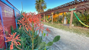 A garden area with a wooden pergola, cactus plants, and a pathway leading to a building with a colorful facade.