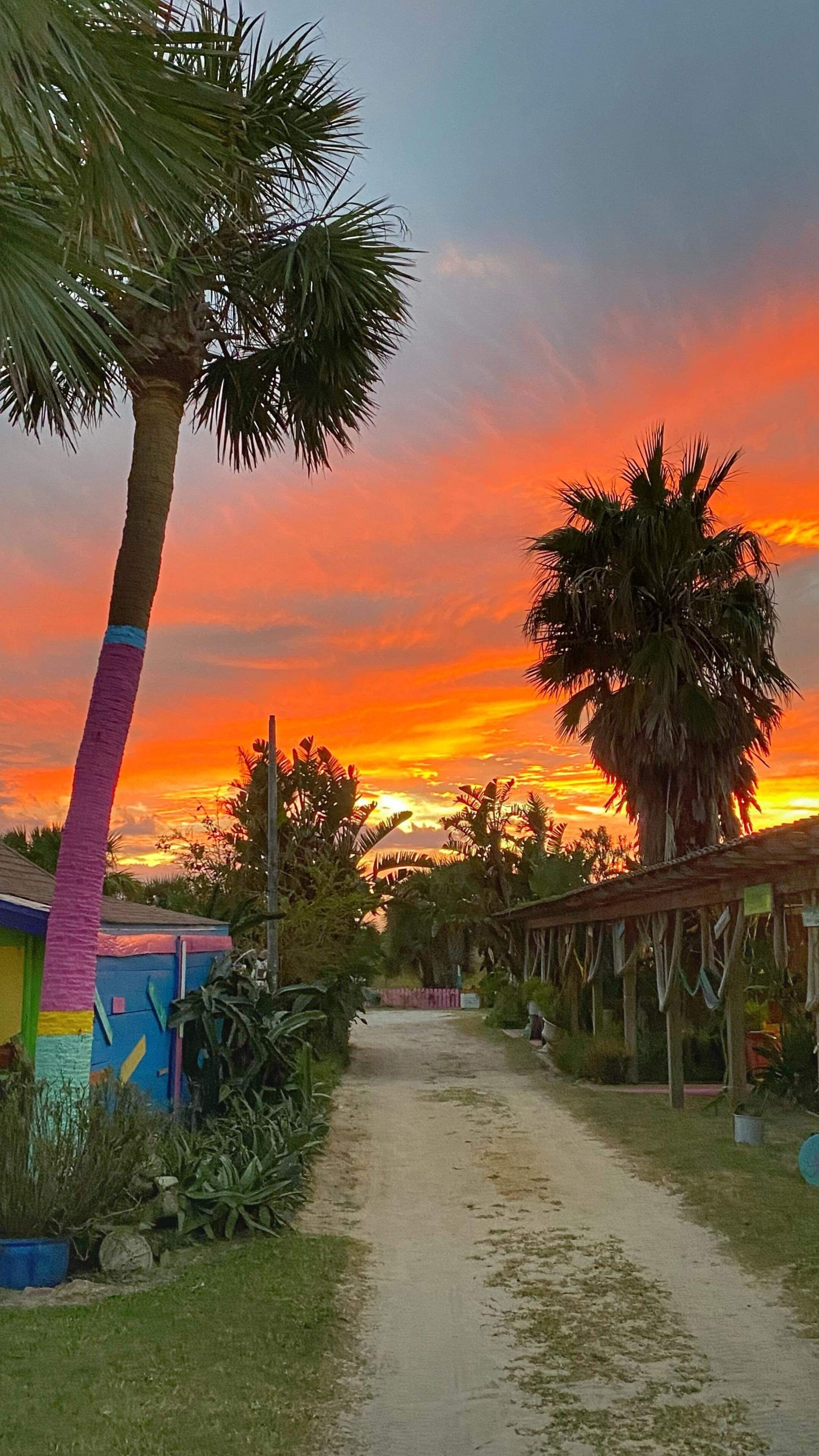 A dirt path leading to a building with a colorful exterior, surrounded by palm trees and greenery.