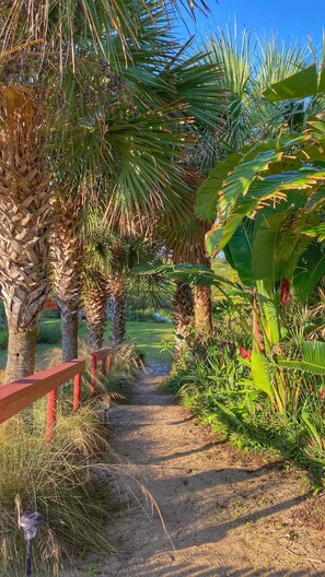 A pathway flanked by palm trees and tropical plants, leading to a red wooden fence. - Si Como No Inm (Flagler Beach)