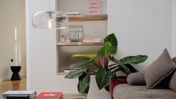 Una sala de estar moderna con un sofá, una mesa de centro, una planta en maceta y una estantería con libros y un letrero.