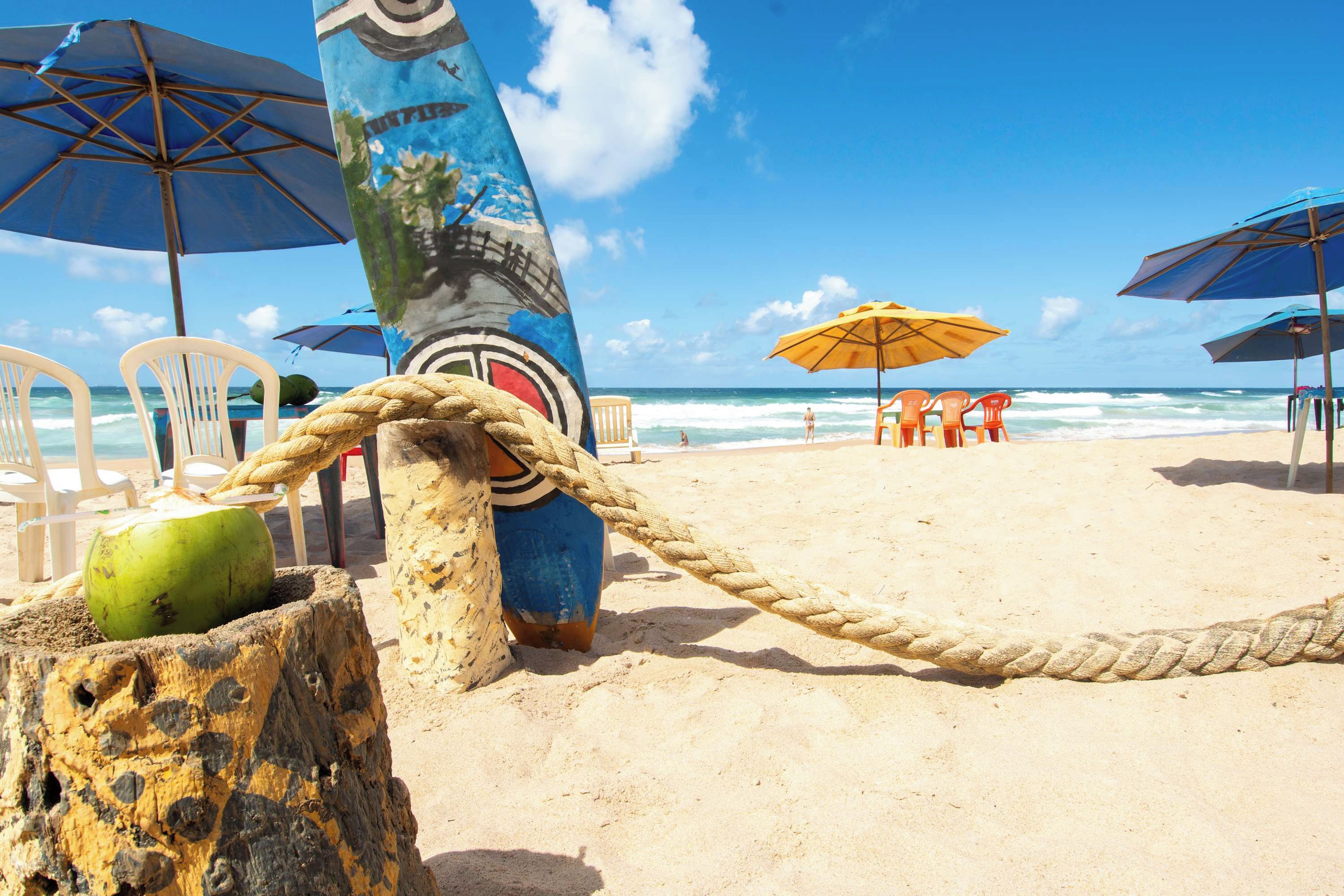 Una playa con una barrera de cuerda, sillas de playa, sombrillas y un coco sobre la arena.