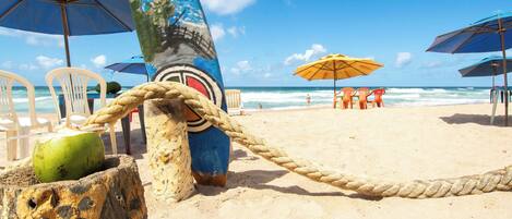 Una playa con una barrera de cuerda, sillas de playa, sombrillas y un coco sobre la arena.