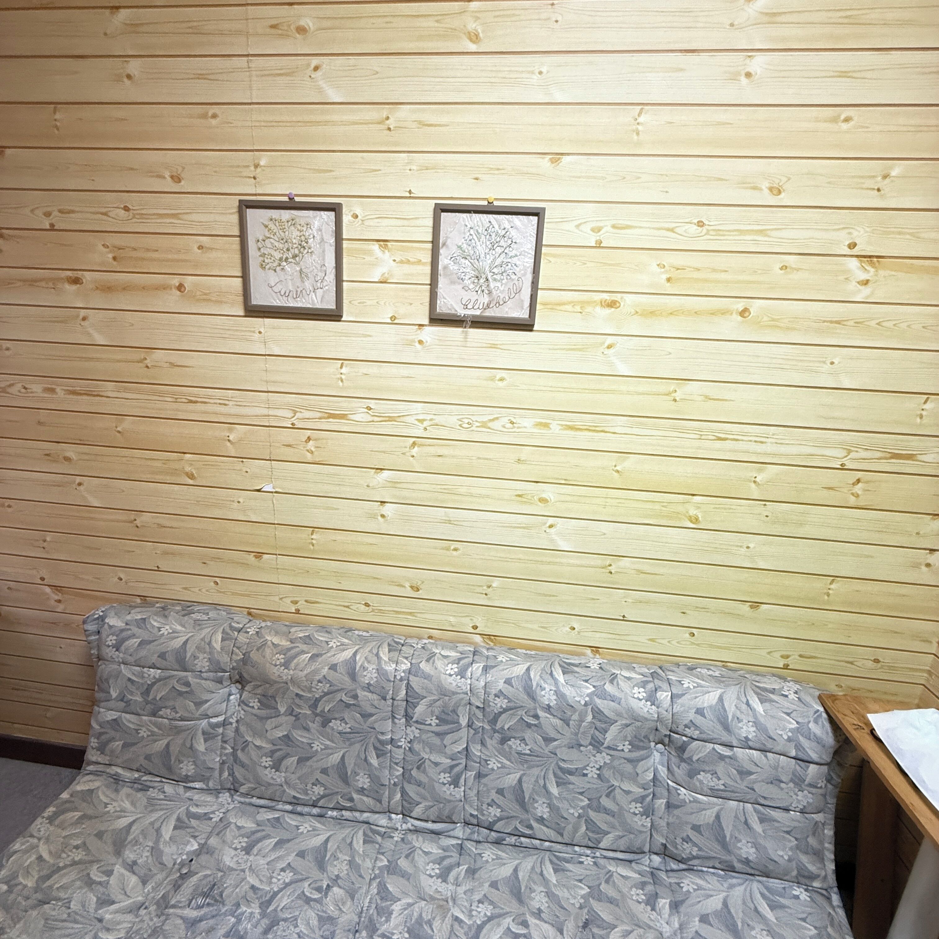 Una habitación con pared de madera, dos láminas botánicas enmarcadas y un sofá estampado con flores.