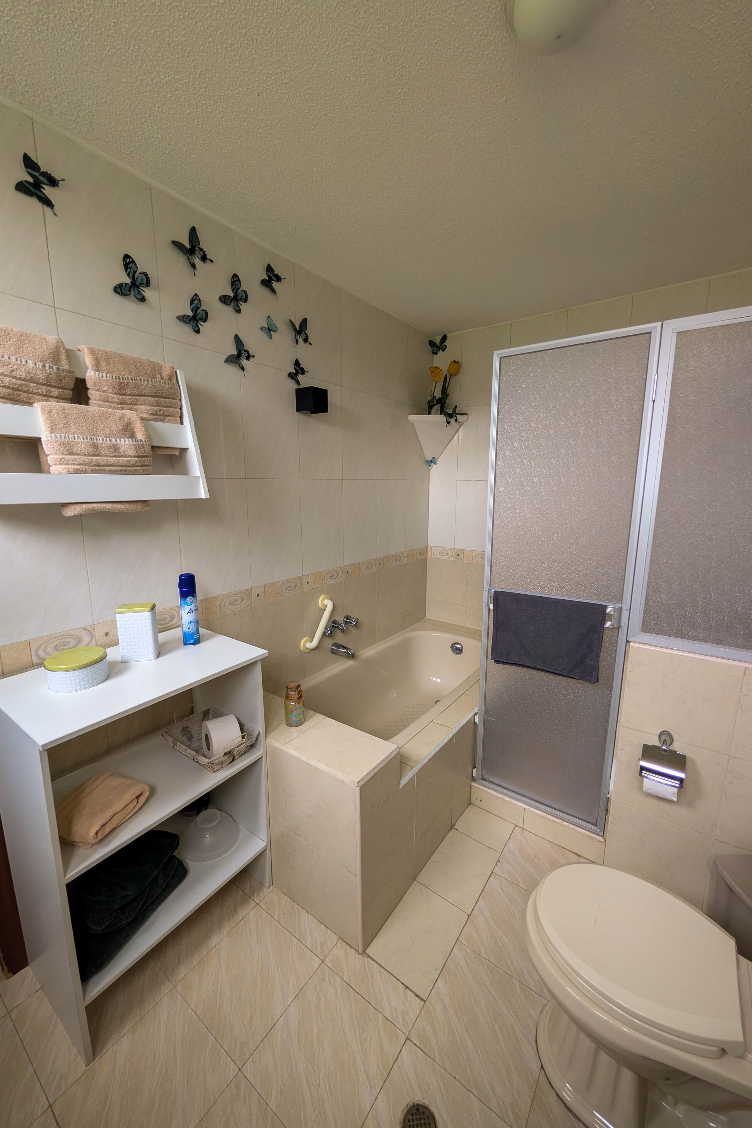 Hair dryer, towels