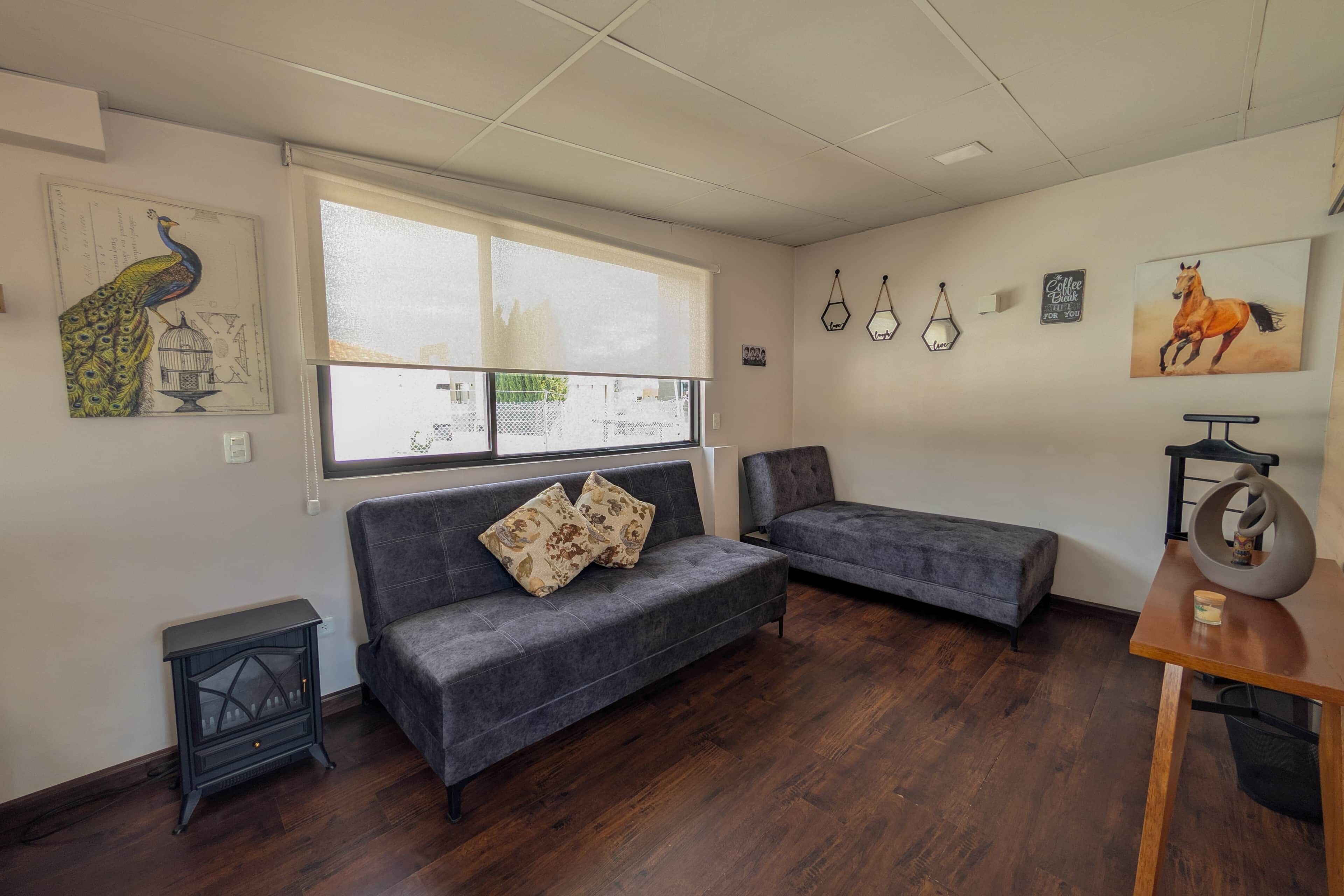 TV, fireplace