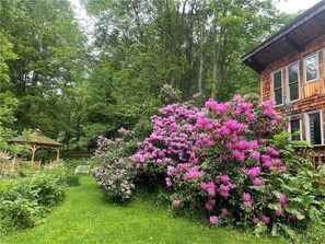 A wooden cabin with a garden path leading to it, surrounded by lush greenery and flowering bushes. - Hillside retreat with modern finishes near Cooperstown and Oneonta (Oneonta)