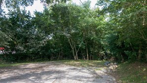 A paved area with a gravel path surrounded by dense trees. - Hometown Clarksville Cottage (1021 Crossland Ave) (Clarksville)