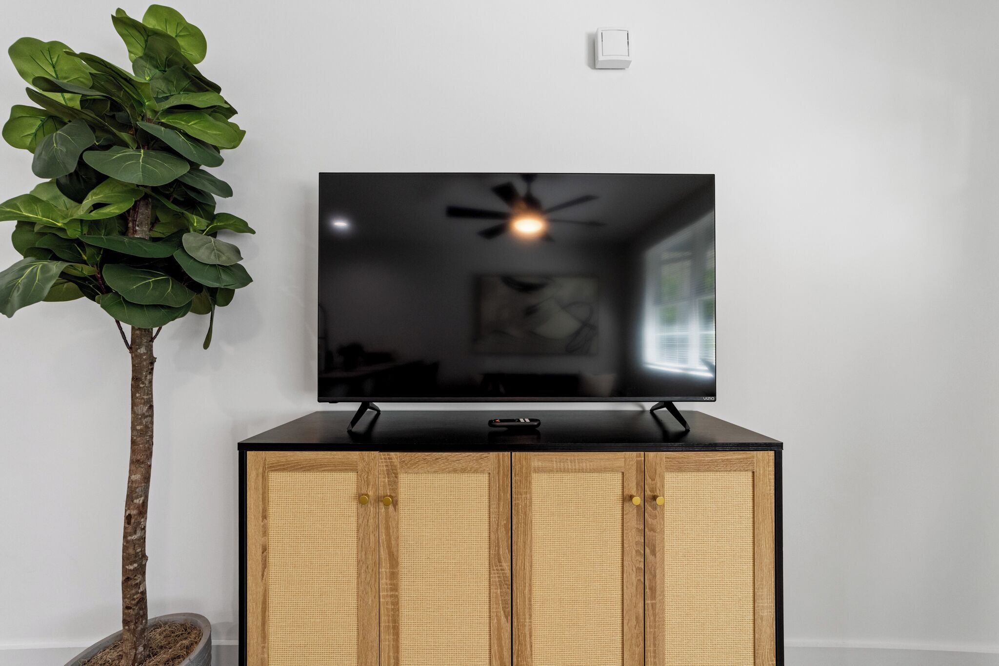 A television on a wooden cabinet with a plant beside it.