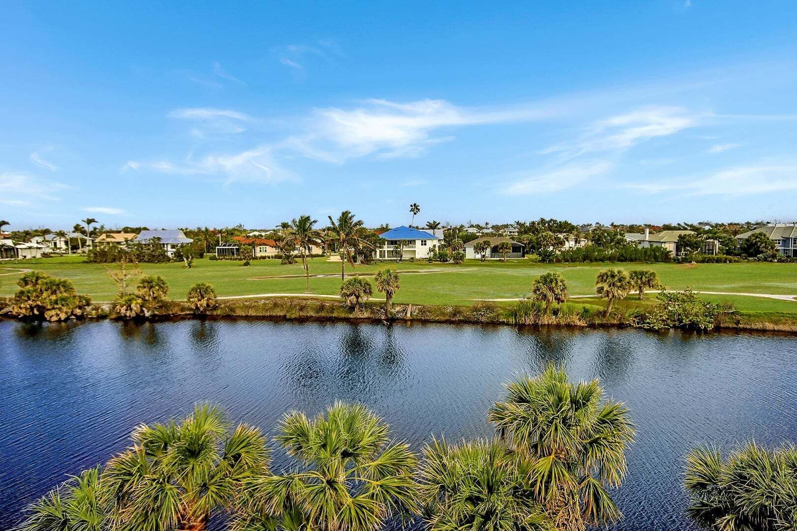 A residential area with a body of water, houses, and palm trees.