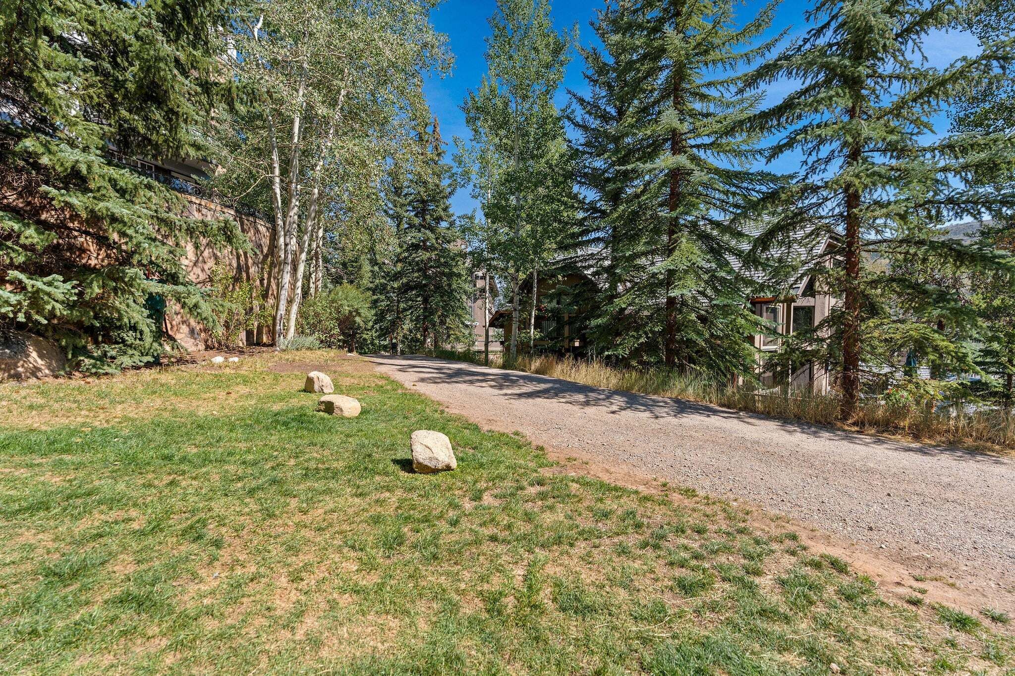 A gravel path leading through a forested area with a building in the background.