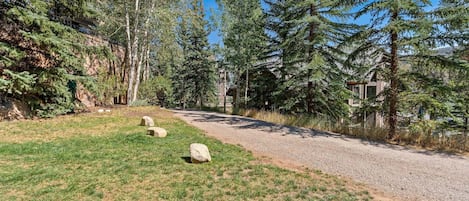 A gravel path leading through a forested area with a building in the background.