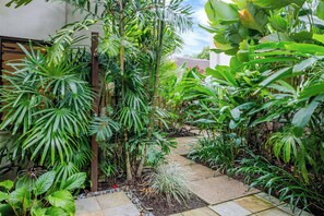 Un jardin luxuriant, où s’épanouissent de nombreuses plantes tropicales, et un sentier bordé de pierres.