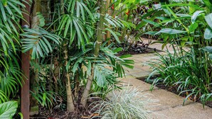 A lush garden with various tropical plants, a wooden pergola, and a stone pathway. - SeaEden @ The Temple 3 Bedroom with Private Pool (Craiglie)