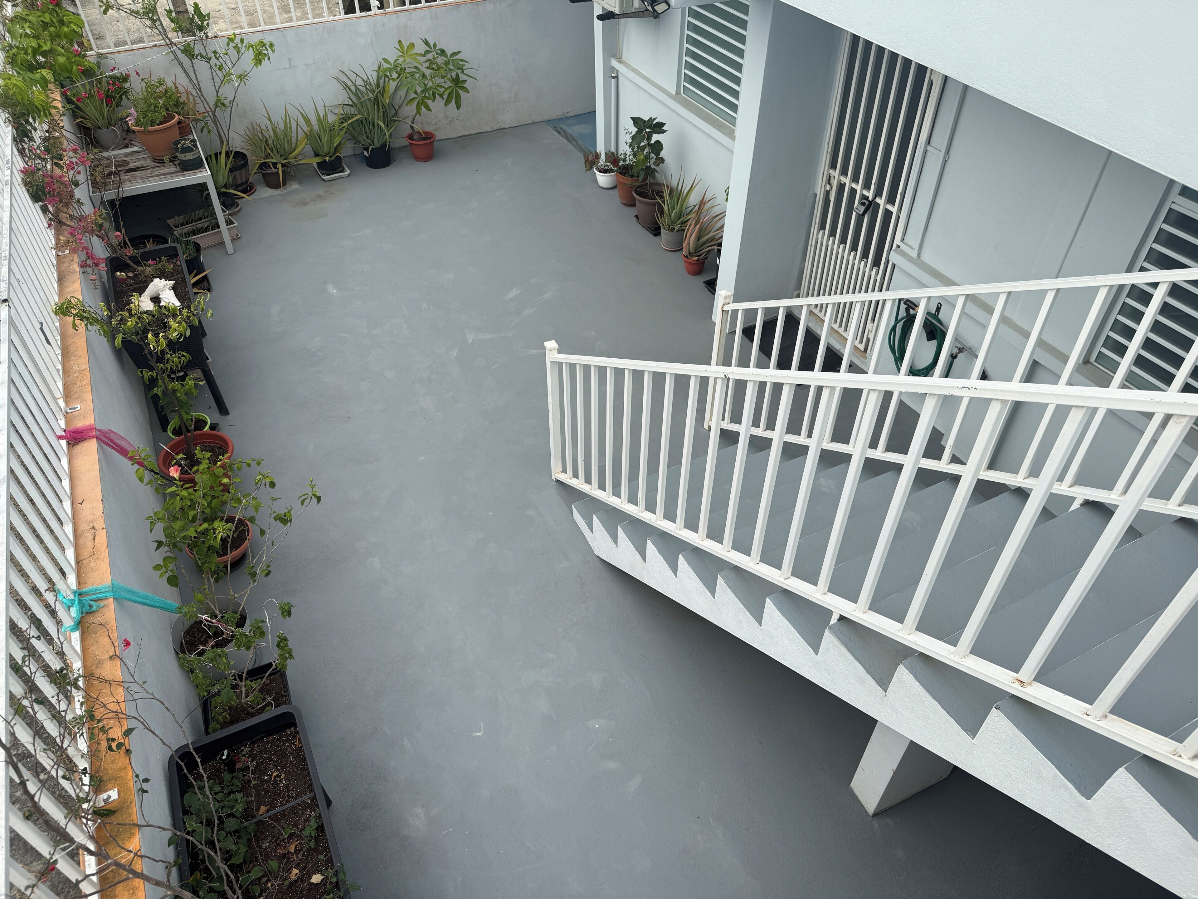 Eine Dachterrasse mit Kübelpflanzen, einem weißen Geländer und einem grauen Boden.