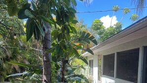 A garden area with various plants and a pathway leading to a building. - Charming 1-bedroom Guesthouse in Amazing Ozona Free Parking, Walk to Restaurants (Palm Harbor)