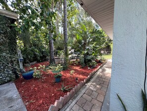 A garden with a variety of plants and a statue. - Charming 1-bedroom Guesthouse in Amazing Ozona Free Parking, Walk to Restaurants (Palm Harbor)