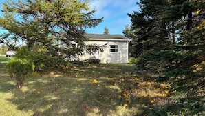 A small house surrounded by dense trees and grass.