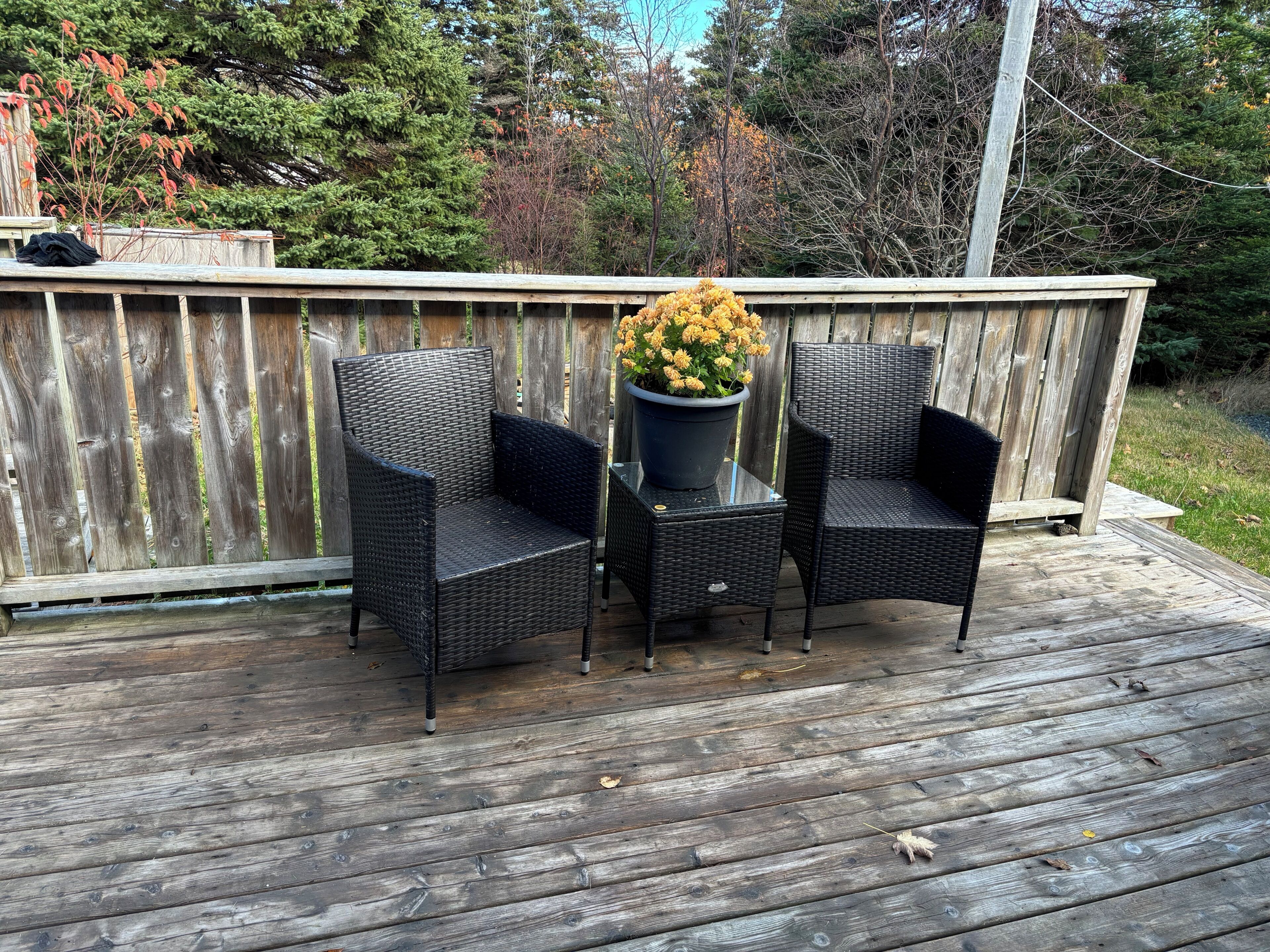 Terras
