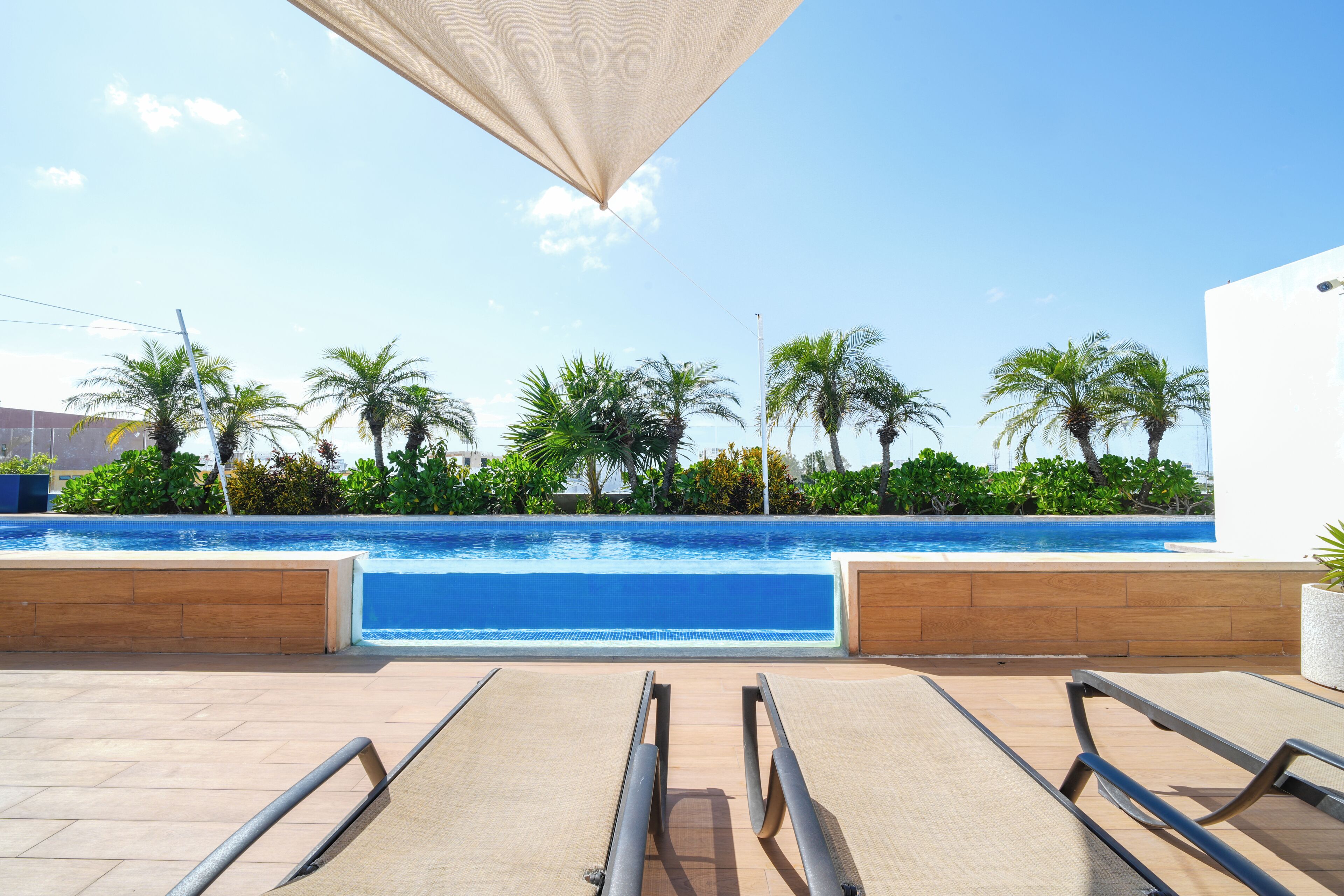 A pool area with lounge chairs and palm trees.