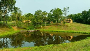 A tranquil lakeside setting with a wooden dock extending into the water, surrounded by lush greenery and a few buildings in the background. - Ramblewood Lodging 1 (Athens Township)