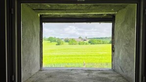 Uma janela com vista para um campo verde.