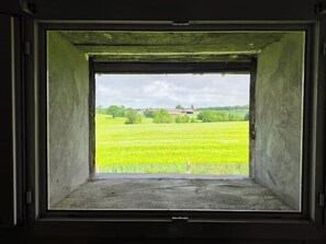 Ein Fenster mit Blick auf ein grünes Feld.