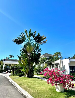 A well-maintained garden with a palm tree and pink flowers, a white building, and a clear blue sky. - Charming 2-bedroom apartment with AC in perfect Puerto Plata (Puerto Plata)