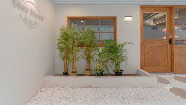 A modern building entrance with a wooden door, a large window, and potted plants.