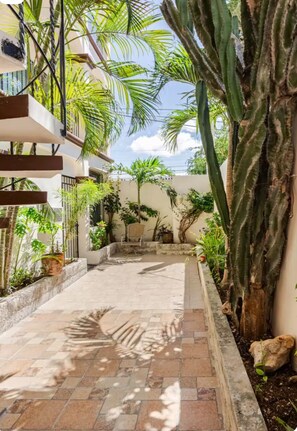 Un chemin pavé mène à un espace aménagé avec une chaise, entouré de différentes plantes et d’un grand cactus.
