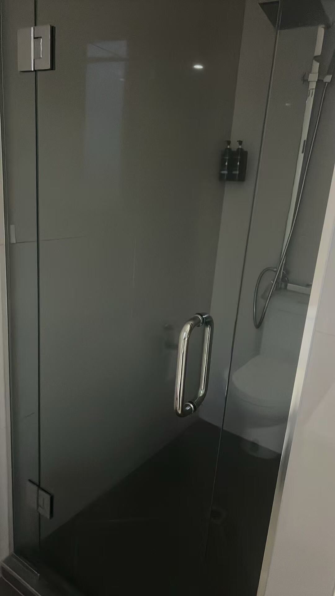 A modern bathroom with a glass shower enclosure, a visible toilet, and a handrail.