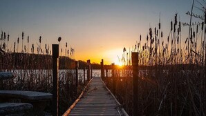 Une jetée en bois qui mène à une étendue d’eau, bordée de hautes herbes de chaque côté.