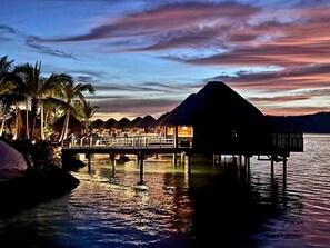Overwater bungalows with a water view, connected by a bridge, and surrounded by palm trees.