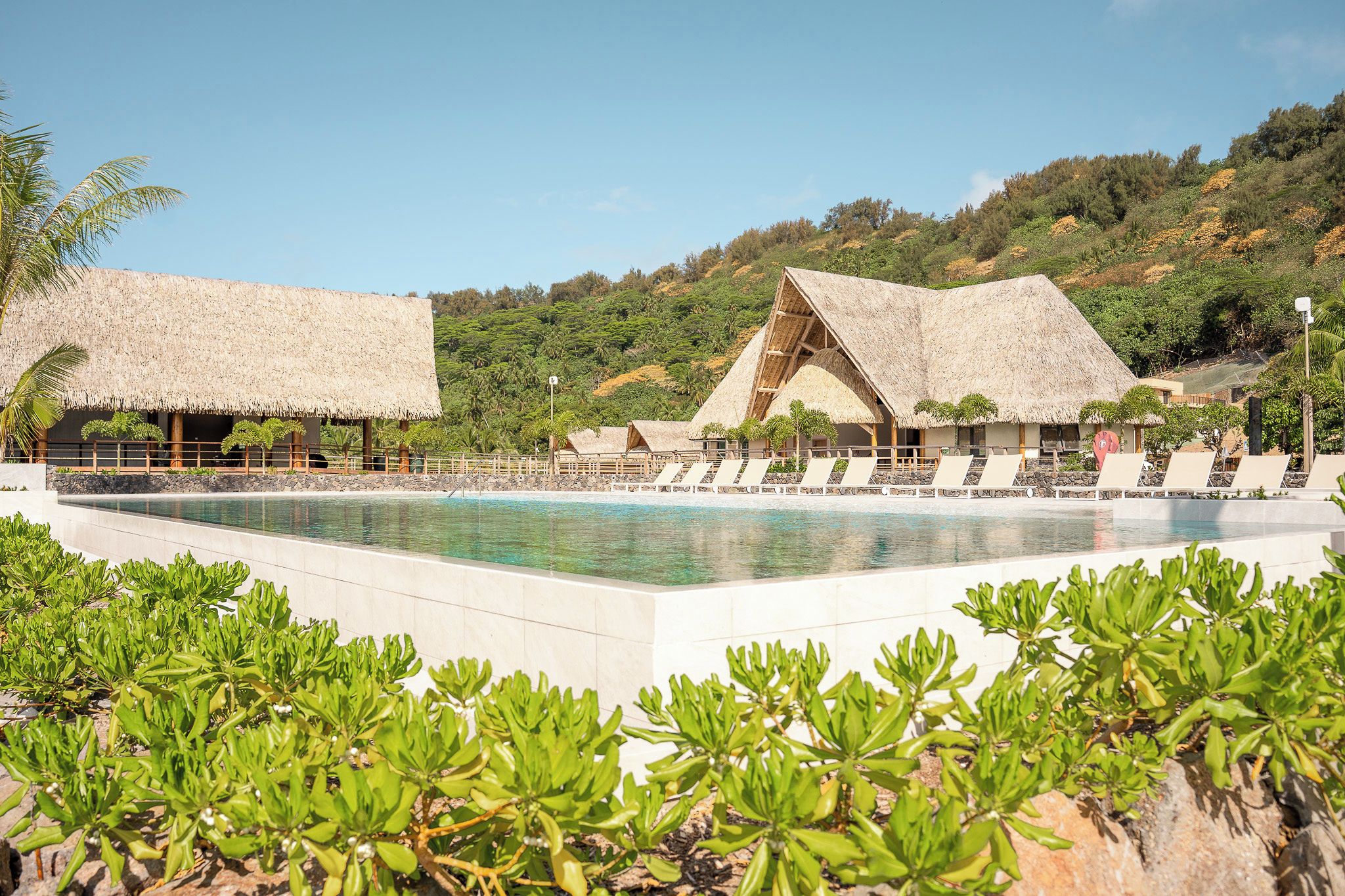 Un resort con piscina, estructuras de techo de paja y abundante vegetación.
