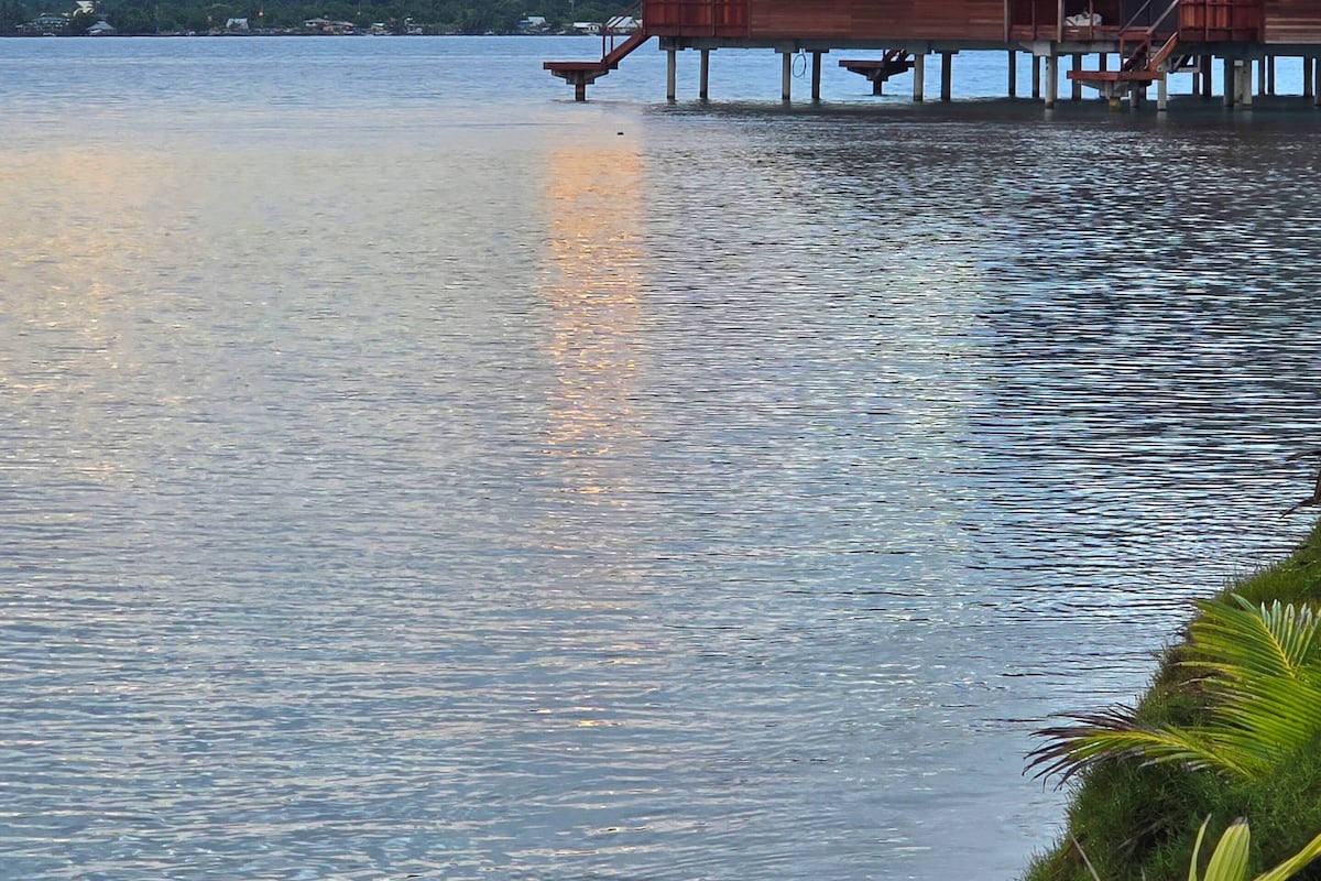 Familie bungalow, uitzicht op zee | Divers