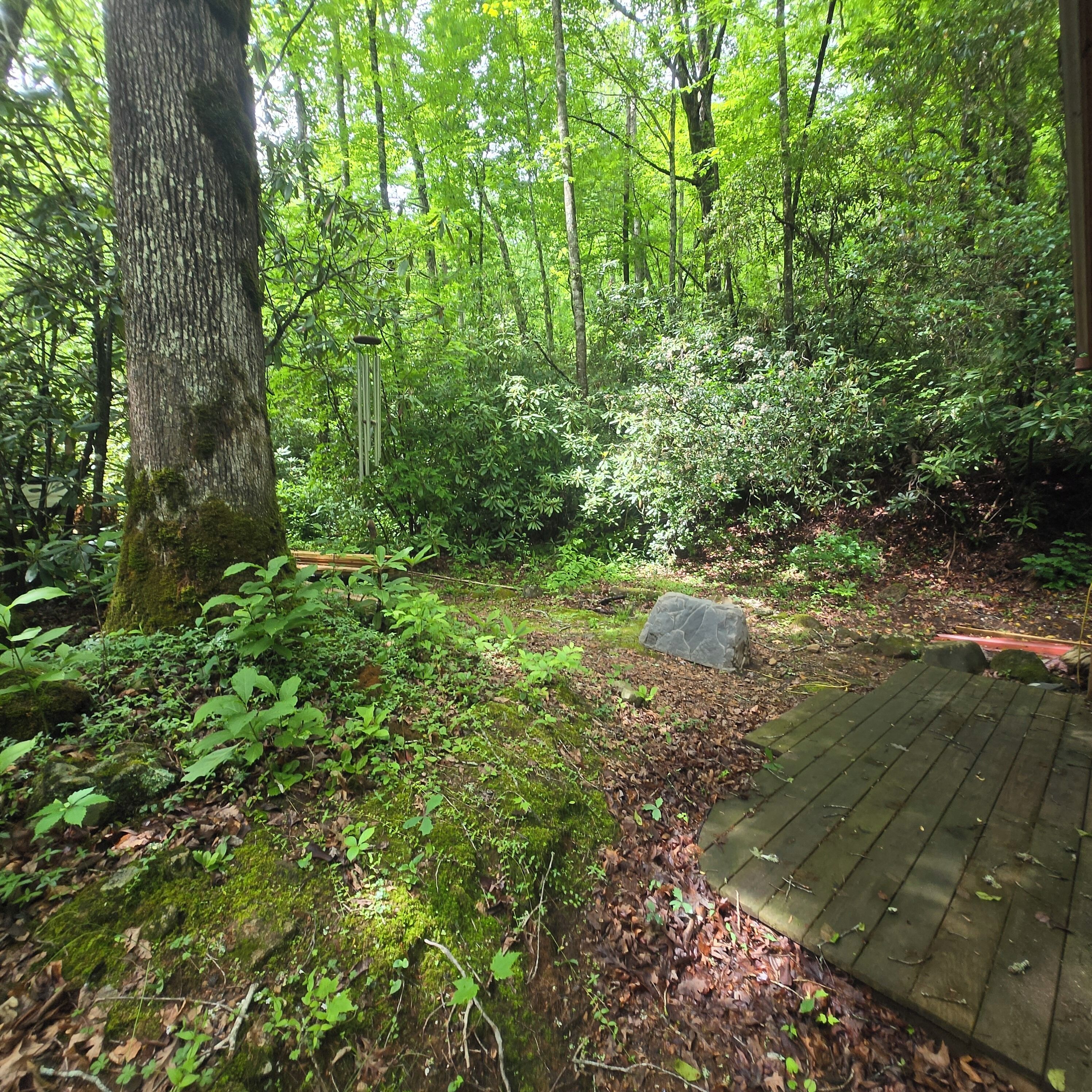 Terrain de l’hébergement 