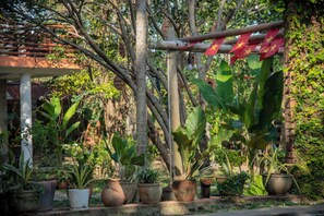 A garden with various potted plants and a pergola with red fabric. - Adorable 1-bedroom bed & breakfast with AC in Hoi An (Đà Nẵng)