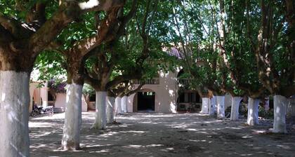 Peaceful Room with Modern Comforts Near Tamandare Square - 2.1 miles