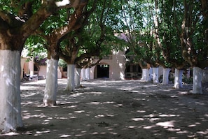 A tree-lined pathway leading to a building with a doorway. - Inviting Stay with Comfort and Tranquility | Outdoor Pool & Free Breakfast (Rio Grande)