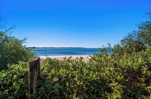Ein Strand mit klarem, blauem Wasser, umgeben von üppiger Vegetation.