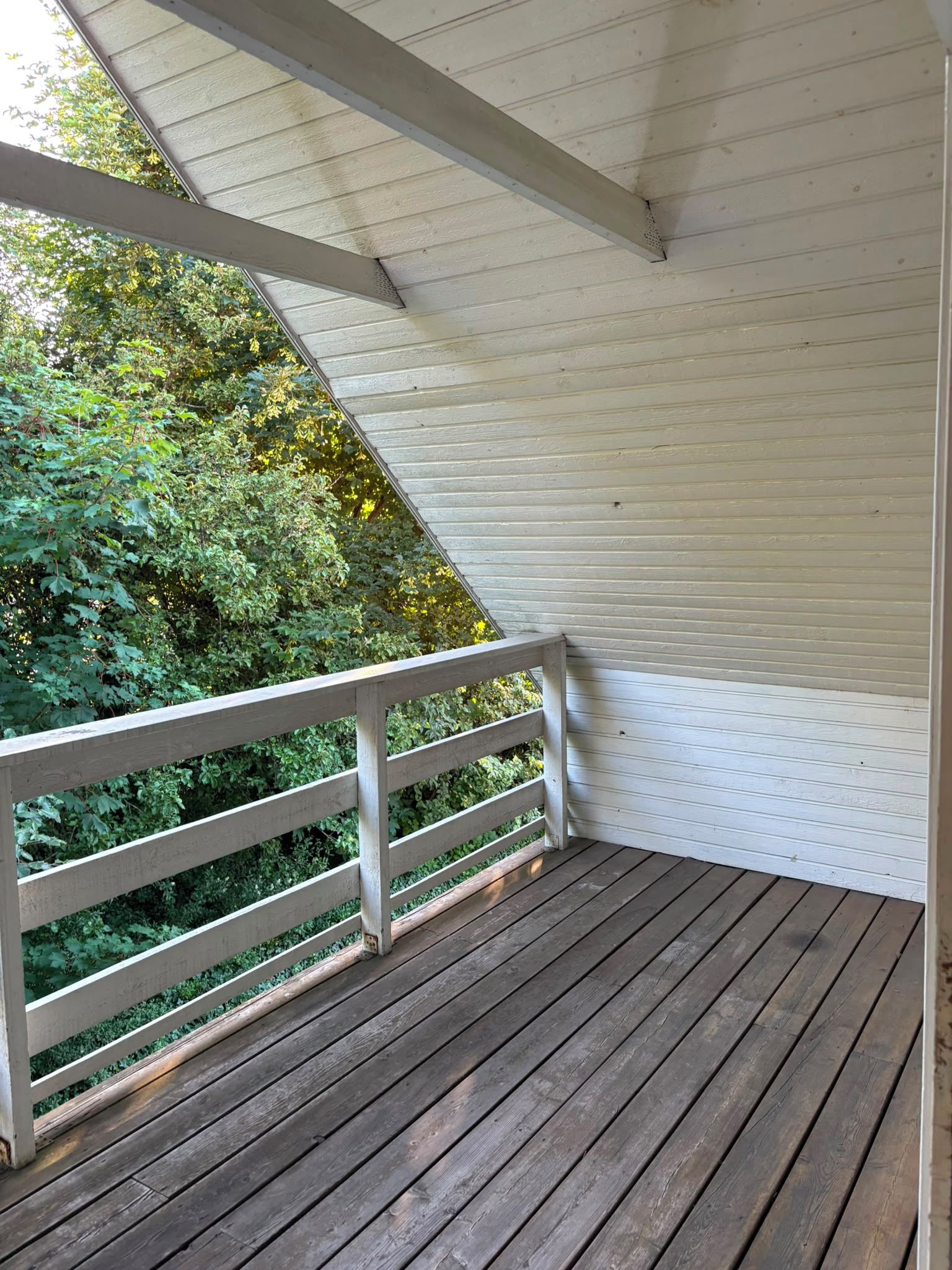 A wooden deck with a white railing, surrounded by greenery.