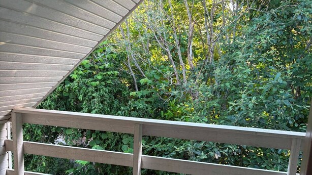 A wooden deck with a white railing, surrounded by dense greenery and trees. - Scenic home in Virklund (Virklund)