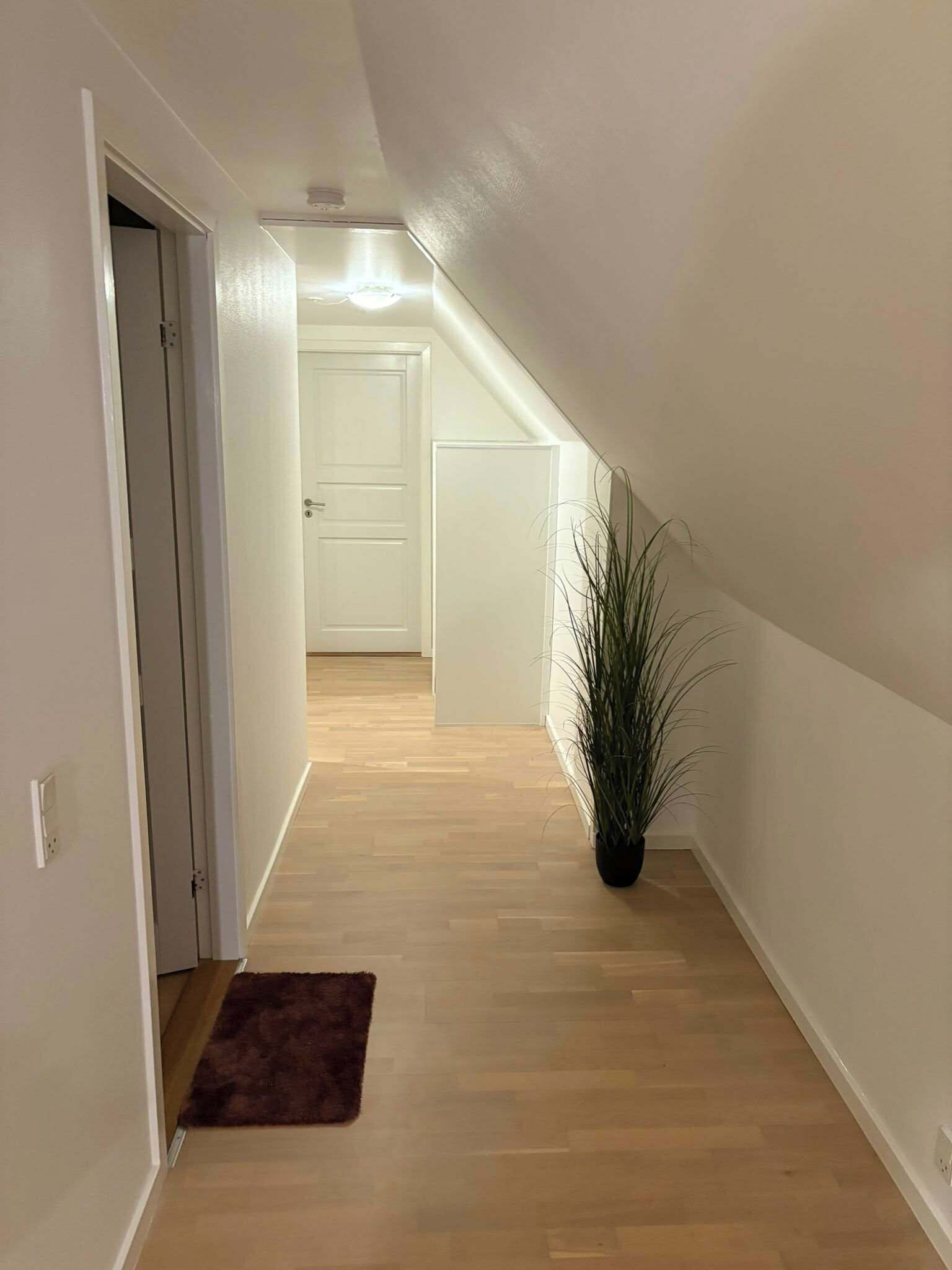 Un couloir étroit avec un plancher en bois, des murs blancs et une porte au fond.