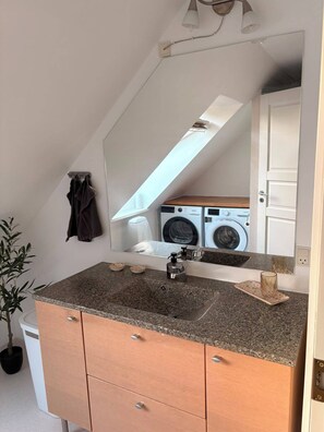 Ein Badezimmer mit einer Granit-Arbeitsplatte, einem Waschbecken, einem Spiegel, einem Handtuchhalter, einer Topfpflanze und einer Waschmaschine im Hintergrund.